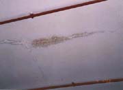 Building defect - Active water leakage from ceiling